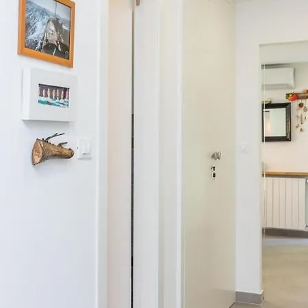 Beautiful With Five Bicycles Included Apartment